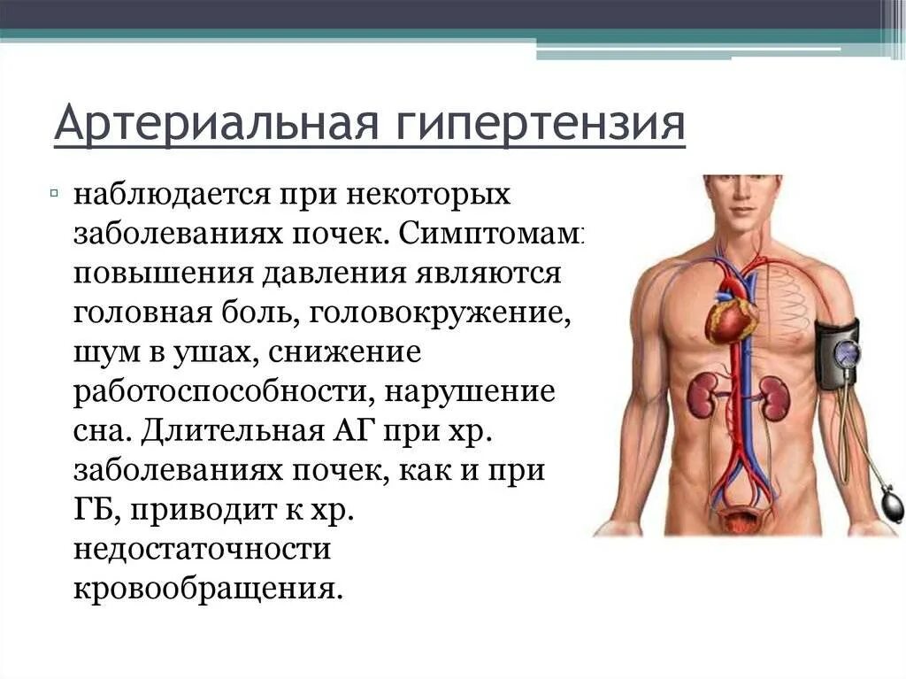 Почечное давление как определить
