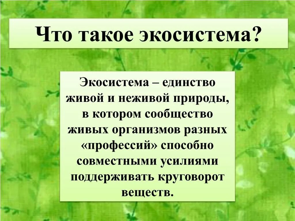 Дать определение живой организм. Экосистема. Геоэкосистема. Что такое нэко система. Экосистема это кратко.