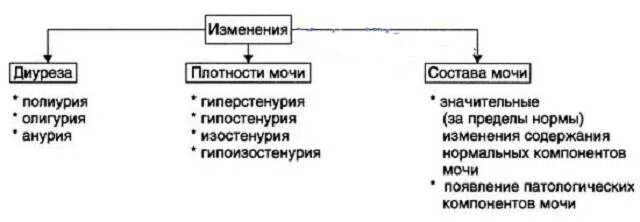 Изменение количества мочи. Полиурия олигурия анурия. Диурез. Полиурия, олигурия, анурия.. Изостенурия гипостенурия гиперстенурия. Полиурия и гипостенурия.