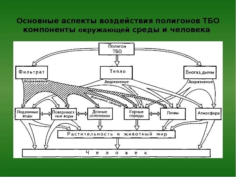 Аспекты влияния образования на жизнь человека