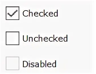 Input checkbox checked