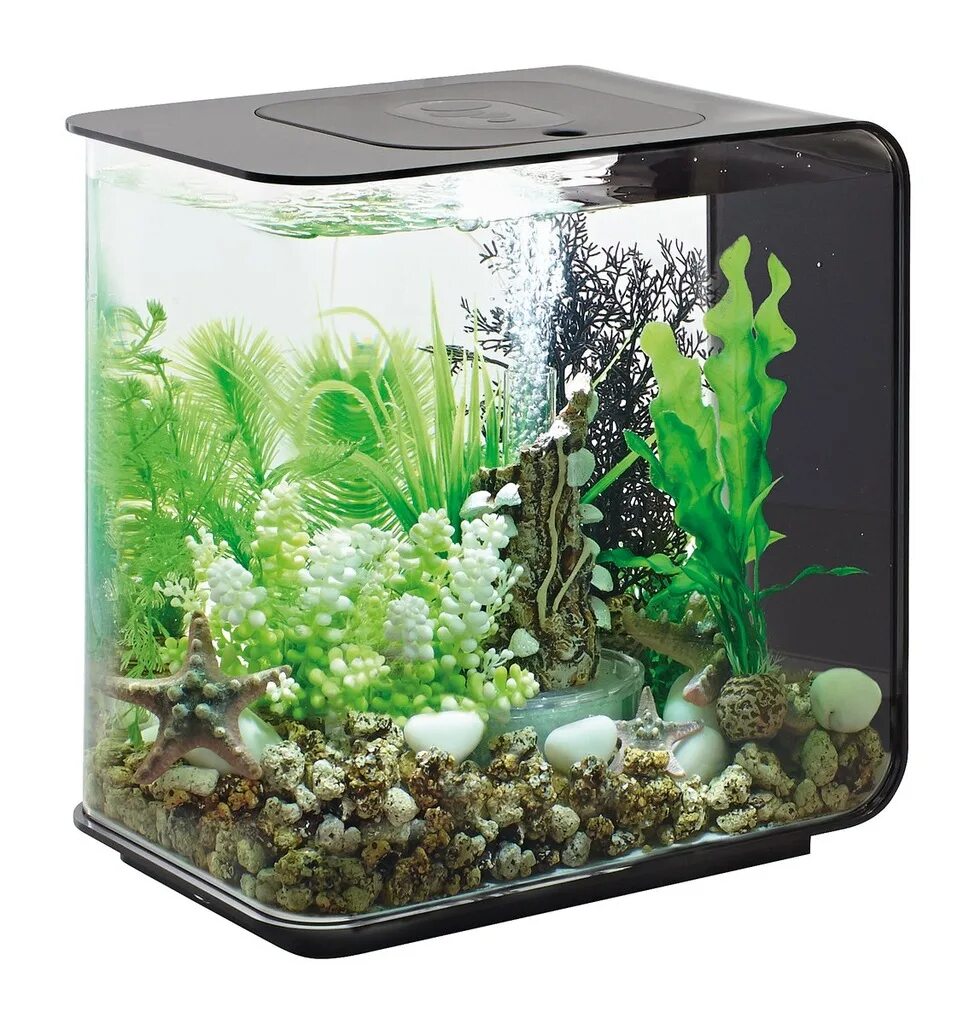 Аквариум aquarium. Аквариум BIORB Flow 30 led. Аквариум BIORB Flow 15 MCR белый. BIORB Flow 30 MCR. Аквариум BIORB MCR 15 литров.