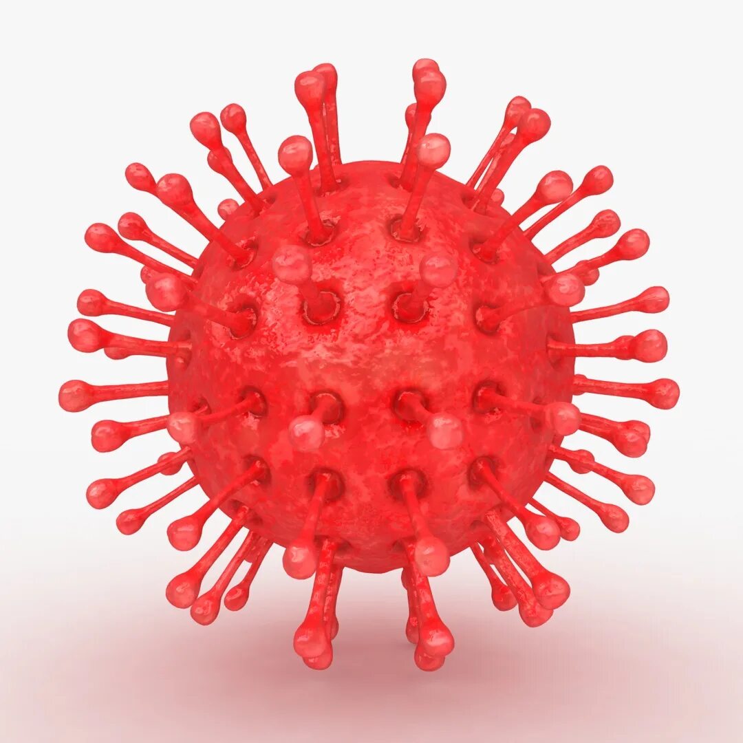 Модель вируса. Макет вируса. 3d модель вируса. 3d модель вируса для школьника.