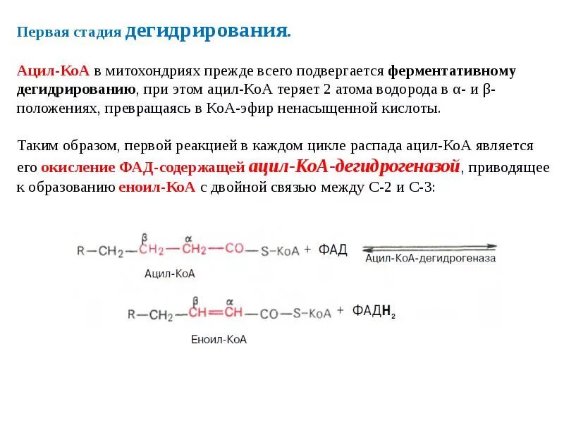 Окисление жирных кислот фермент. Ацил КОА дегидрогеназа. Окисление жиров. Ацил-КОА + ФАД. Полимеризация жирных кислот.