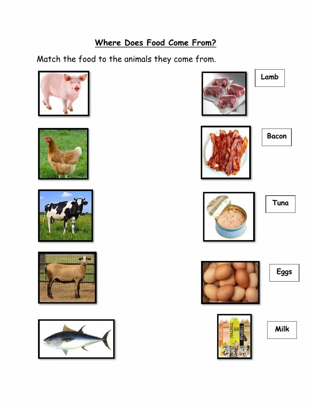 Where does food come from Worksheet. Where does the food come from for Kids. Food come from for Kids. Food comes from Worksheet.