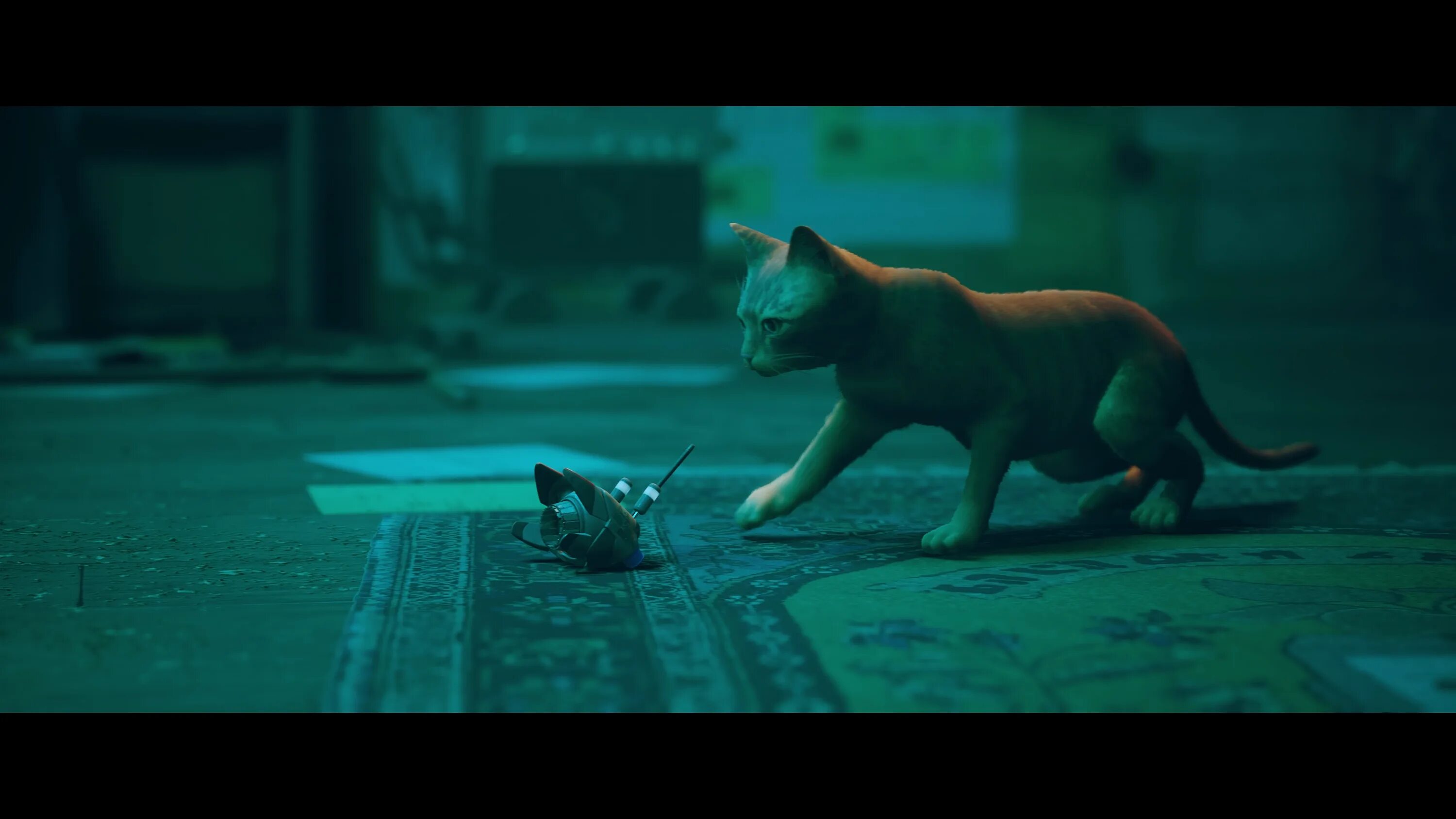 Кот в мире роботов игра. Stray cat игра. stray игра b12. игра про кота 2025 stray. stray 2.