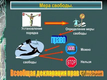Мера свободы