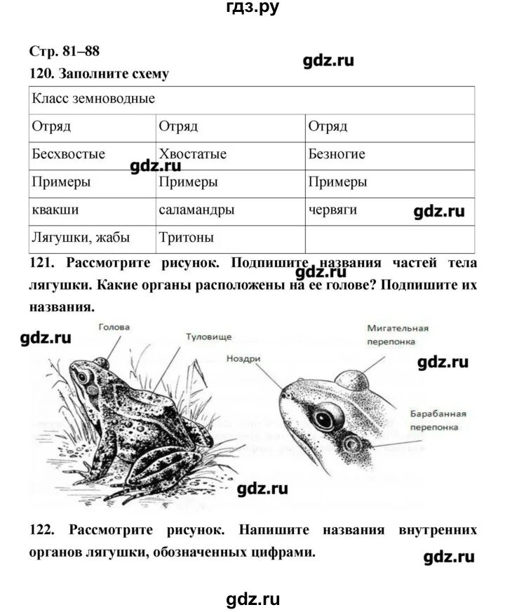 Биология 8 класс тест птицы с ответами