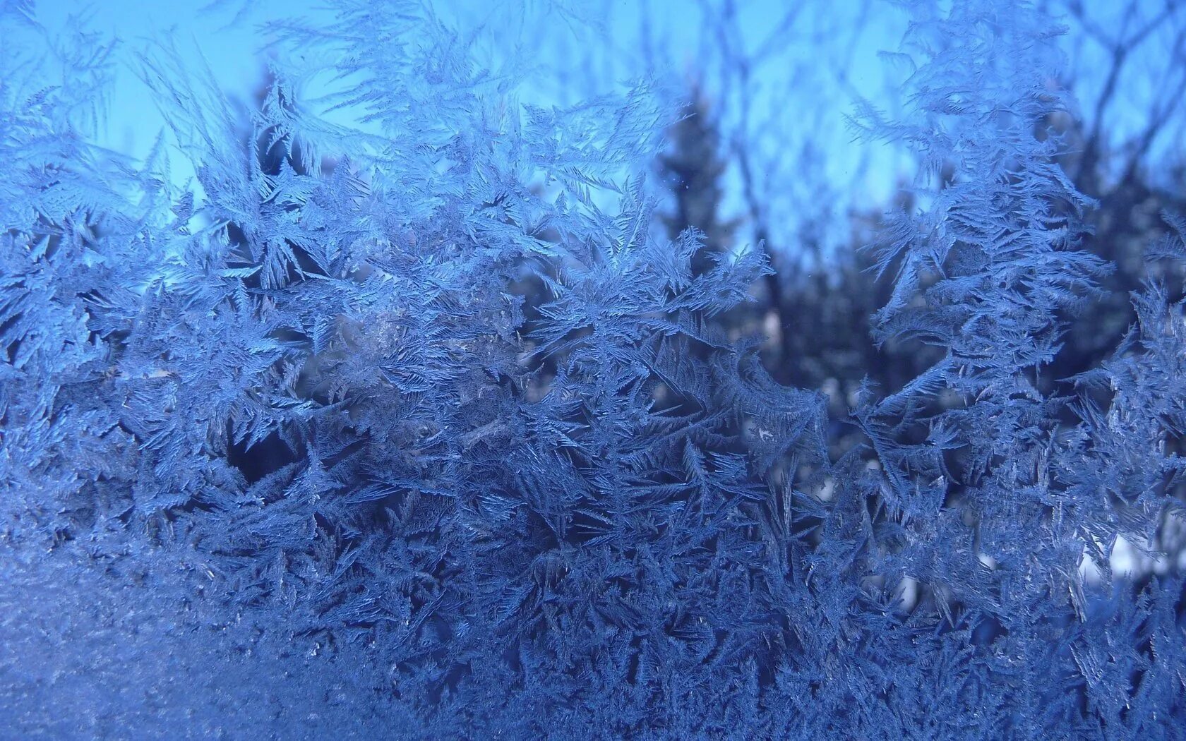 иней. иней выпадает. роса иней дождь и снег. образование инея схема. зябнет липа за окошком.