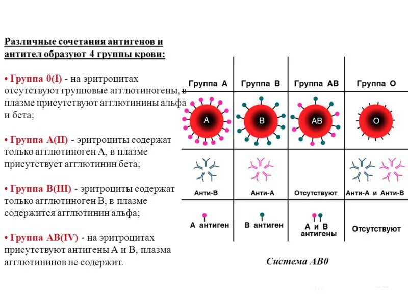 Схема группы крови резус-фактор. Группы крови таблица антигены антитела. Антигены эритроцитов 1 группы крови. Группа крови схема наследственности с резусом. Резус фактор антиген d