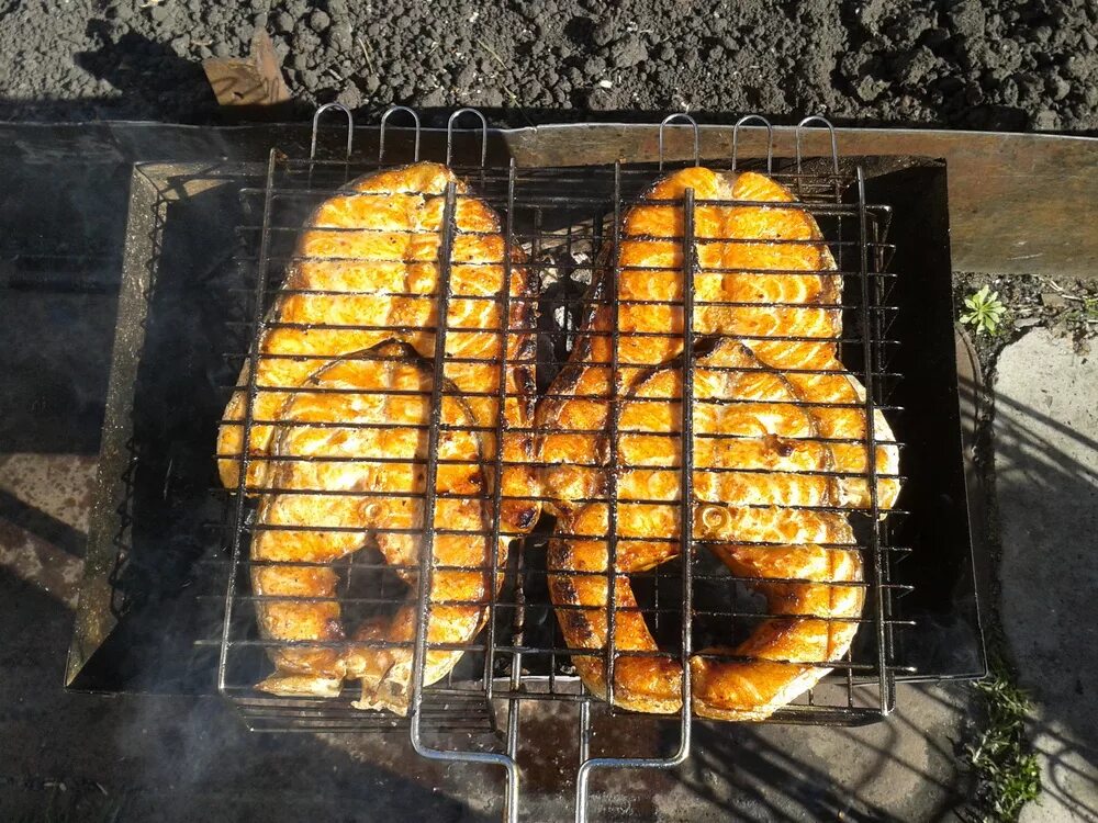 Зубатка на мангале на решетке. Зубатка на костре на решетке. Зубатка шашлык. Стейки зубатки на мангале на решетке рецепт. Зубатка на мангале рецепт.