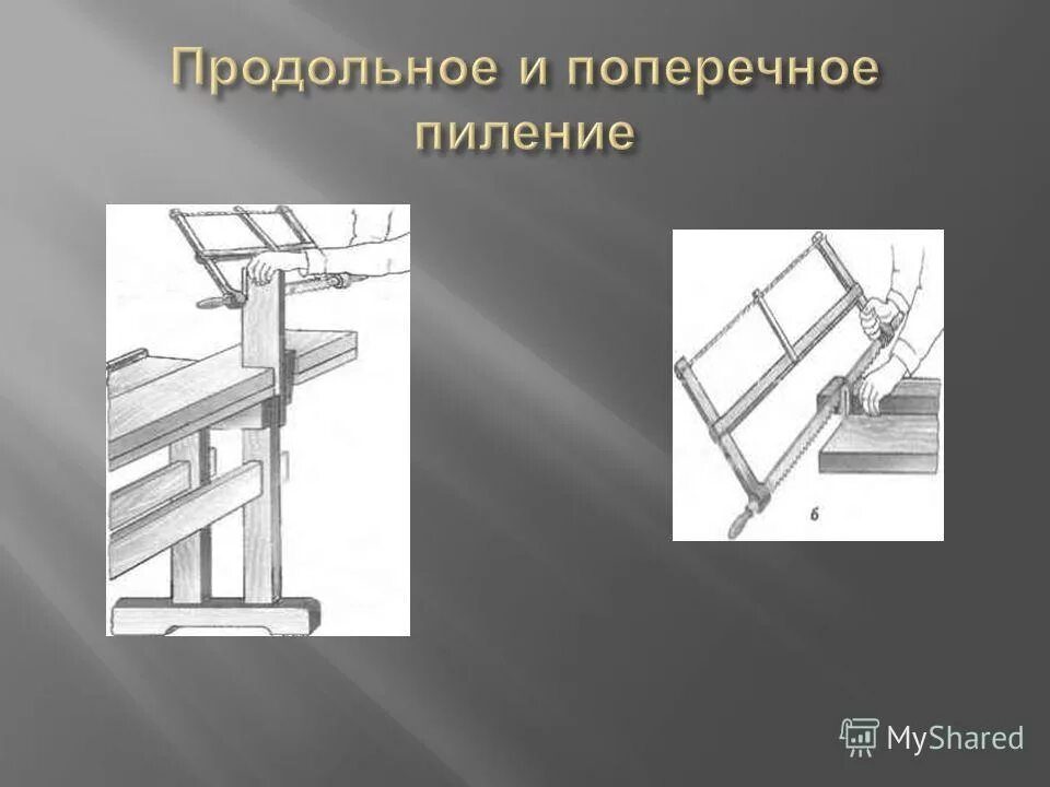 Какое значение поперечного. Продольное и поперечное пиление. Продольное пиление. Поперек и продольно. Поперечное пиление.