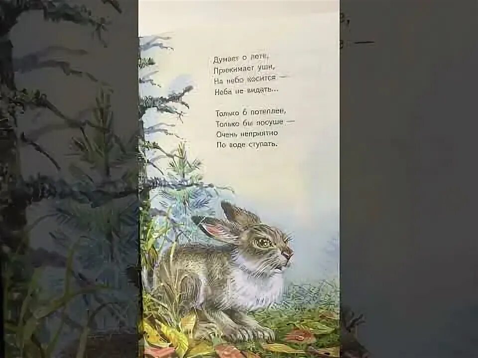 Блок зайчик книга. Блок зайчик. блок зайчик стихотворение. стих заяц белозеров.