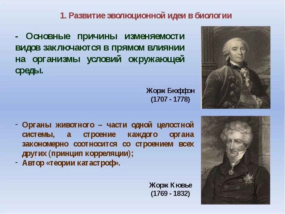 Эволюционные идеи ученых. Этапы развития эволюционных представлений в биологии. Эволюционные идеи в биологии.