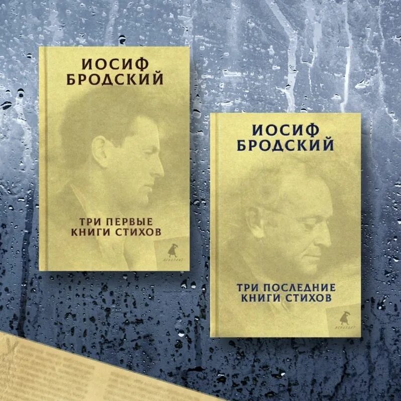 Бродский первый. Бродский книги. первая книга бродского. иосиф александрович бродский книги. бродский холмы книга.