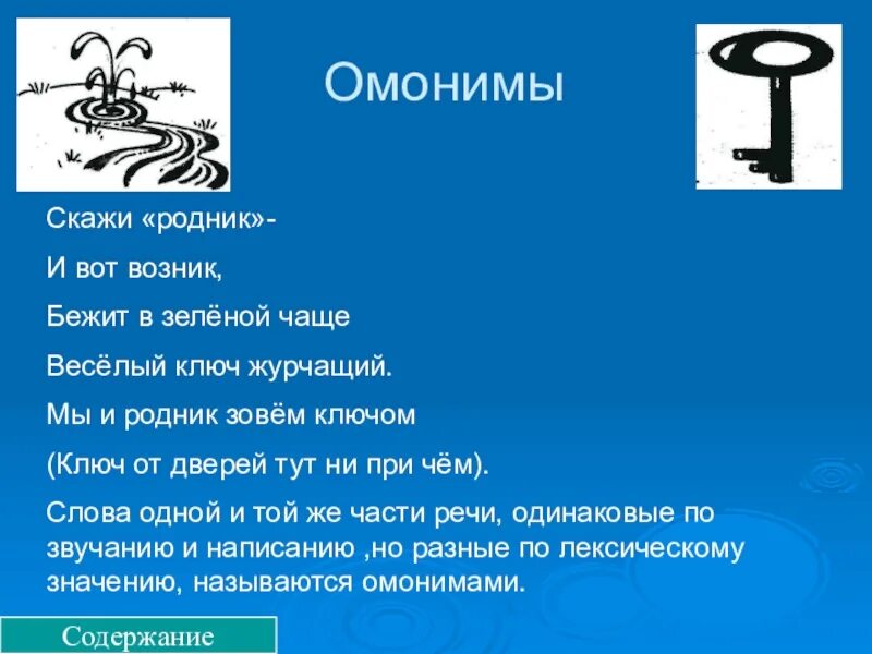 Текст в зеленой чаще. Родник омоним. Скажи Родник – и вот возник, бежит в зеленой чаще. Ключ омонимы. Омонимы ключ дверной и ключ Родниковый.