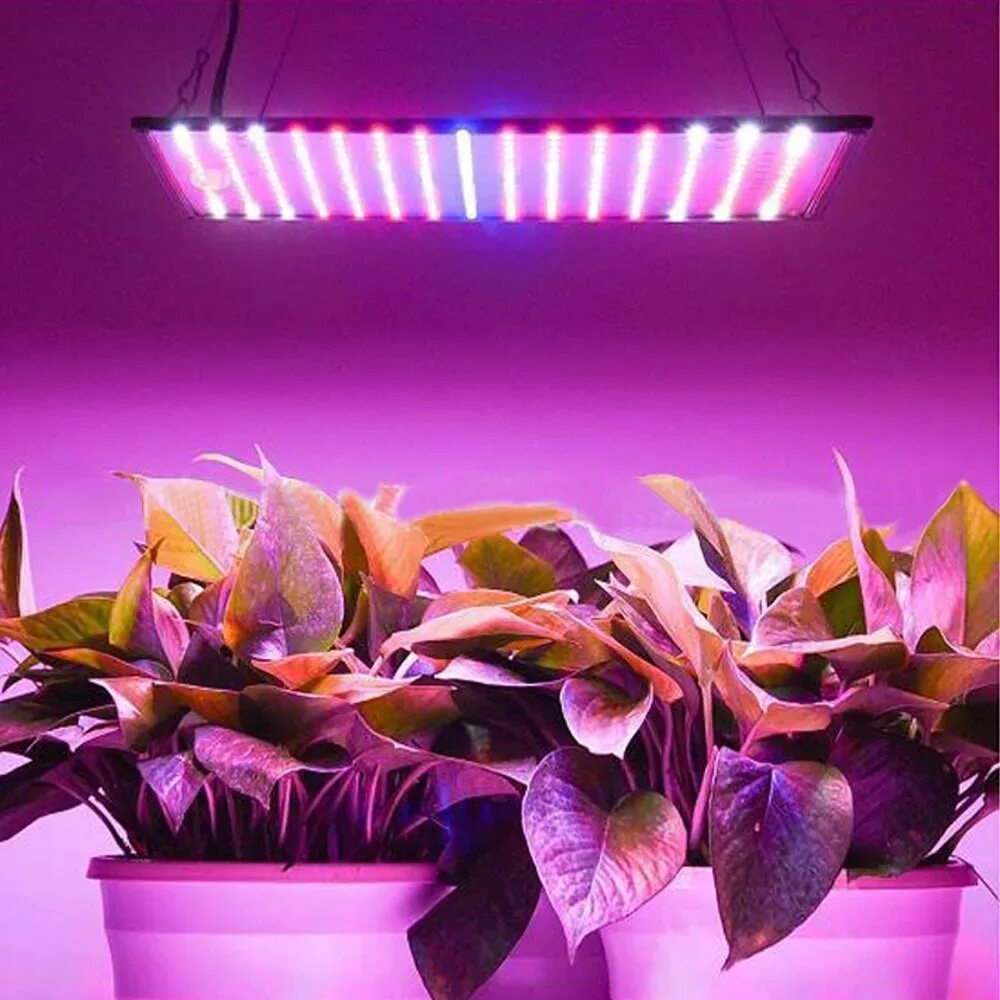 Розовая лампа для растений для чего. Фитолампа led grow Light. Фитолампа полный спектр. Led лампа для растений полного спектра 130вт Seoul. Фитолампа полный спектр для растений.