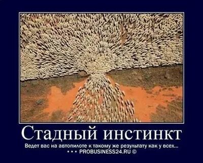 Стадный инстинкт в мирное время