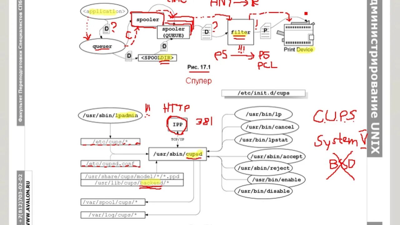 Cups Linux. Сервер печати Cups Linux. Cups Linux модули. Внутреннее устройство Linux. Сервер cups