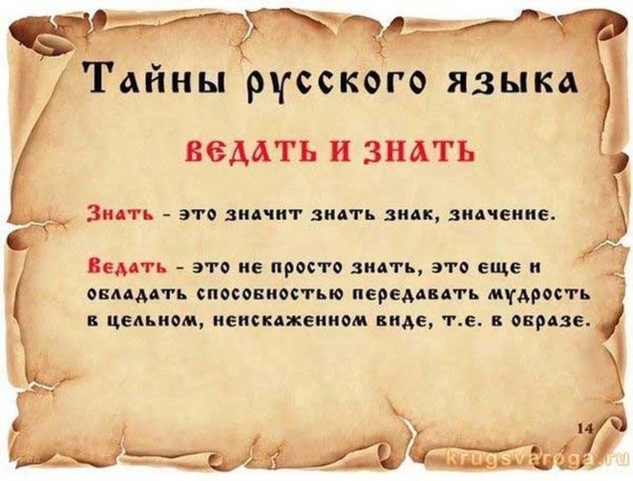 В каком году положили. Тайны русского языка. Интересные тайны русского языка. Верность ревность. Интересные слова в русском.