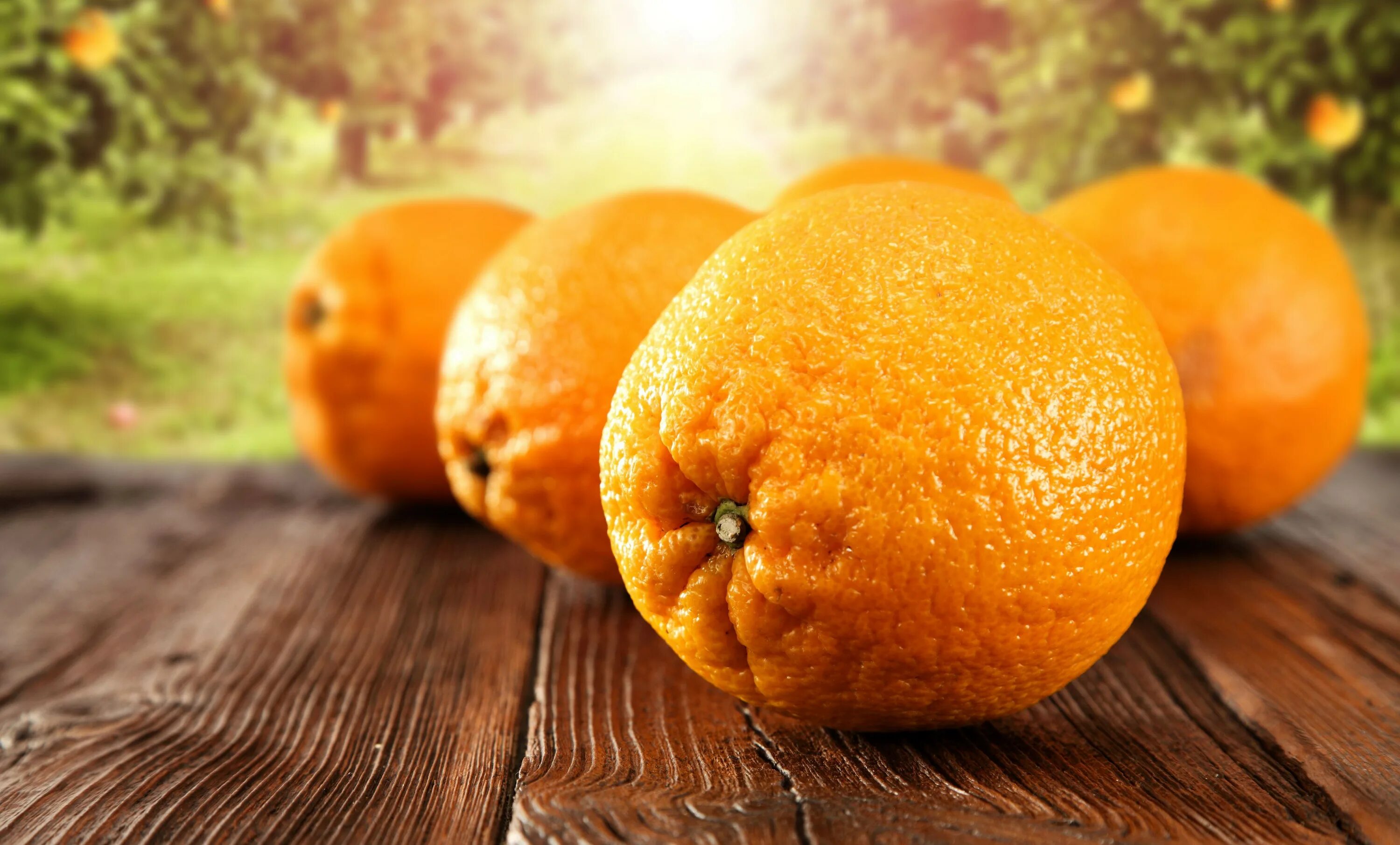 Картинки апельсин. Апельсин. Оранжевые фрукты. Сочный апельсин. Красивый апельсин.