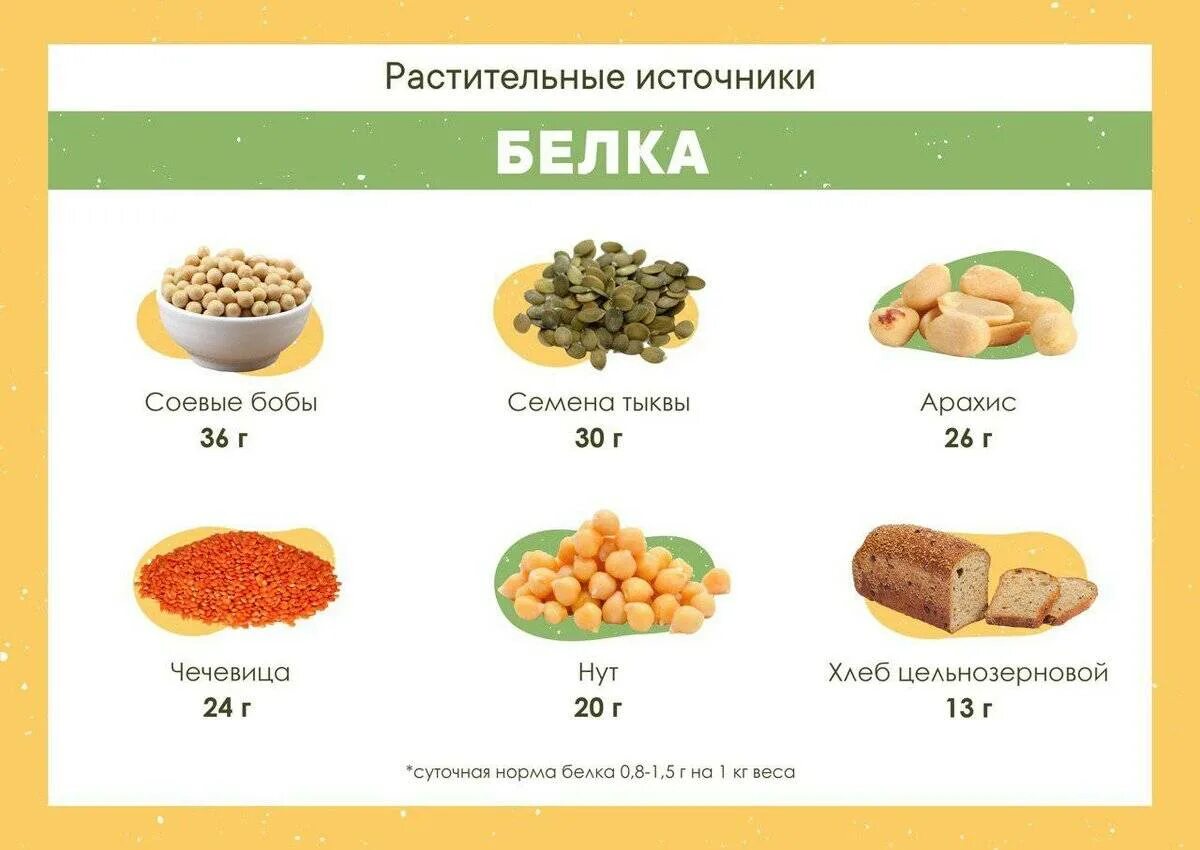 Продукты с высоким содержанием растительных белков. Белок в продуктах. Пища богатая белками. Источники белка для вегетарианцев. Самые богатые белком