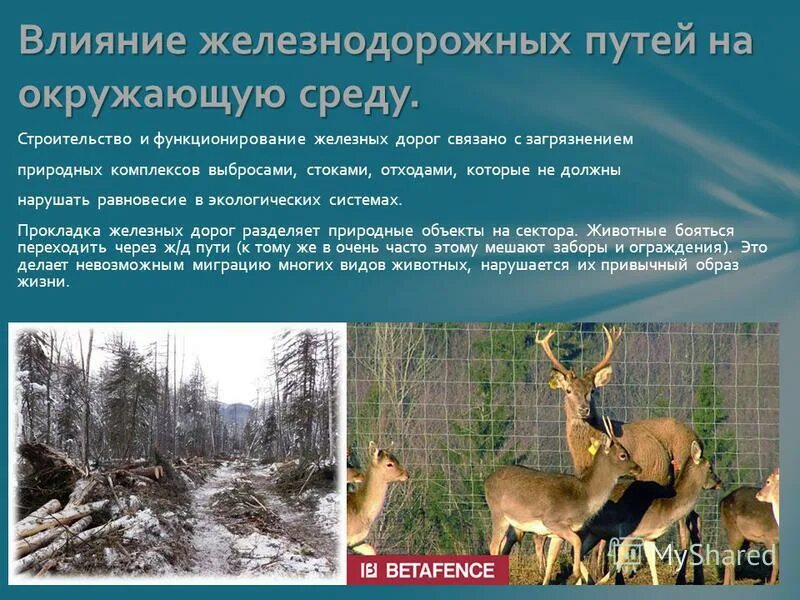 воздействие железнодорожного транспорта на окружающую