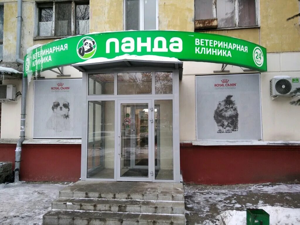 клиника панда гагарина 87. заставка на рабочий стол панда. панда фото. панду удивительное. панда 4 самара.