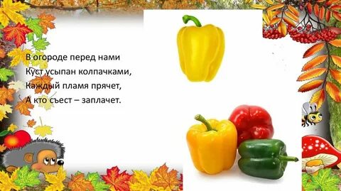 Беседа что нам осень принесла