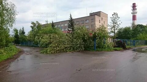Лесной фрязино отзывы
