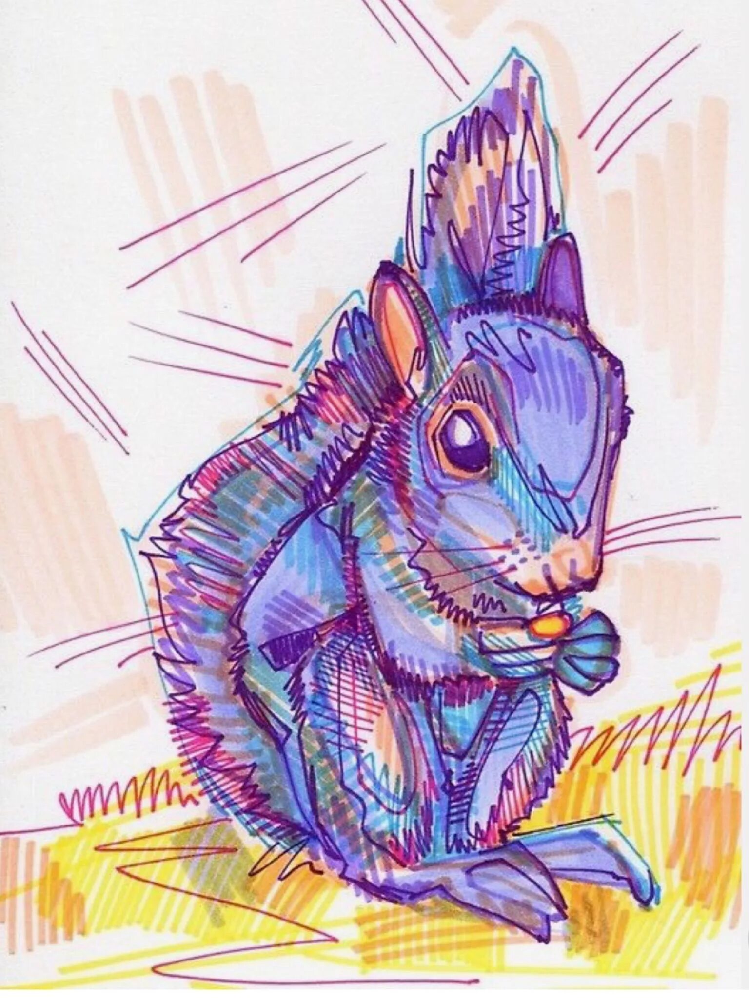 Животные спиртовыми маркерами. Рисунок белки маркерами. Белка живопись акварель. Бельчонок акварель. Нарисовать белку маркерами.