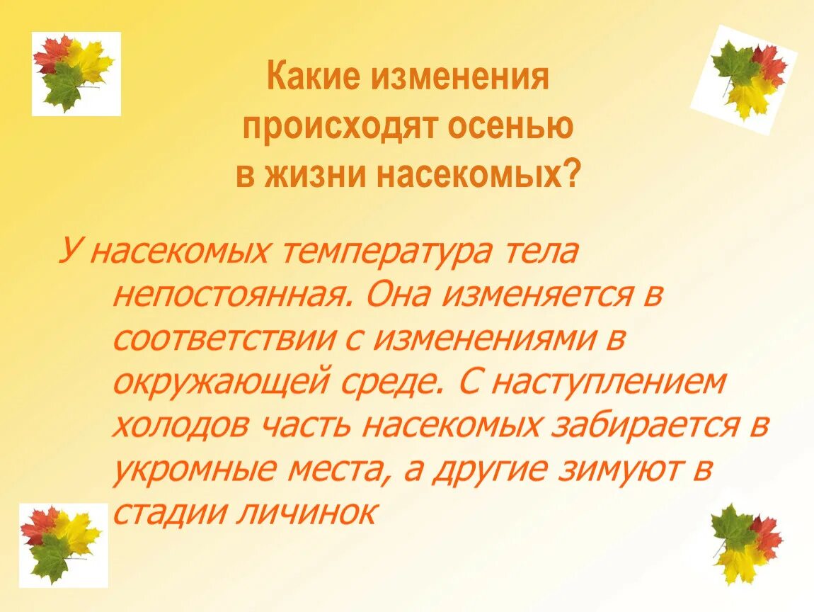 Какие изменения происходят в литературе. Какие изменения происходят осенью. Изменения в жизни насекомых осенью. Какие изменения происходят в природе осенью. Осенние изменения в природе 2 класс.