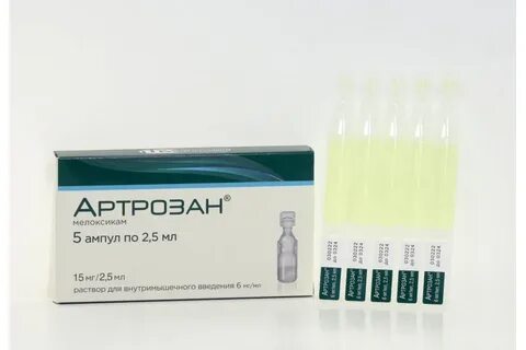 Артрозан 6