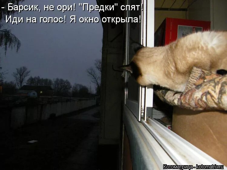 Толку нет и не будет