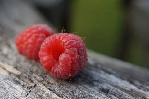 Миниатюрная крупно
