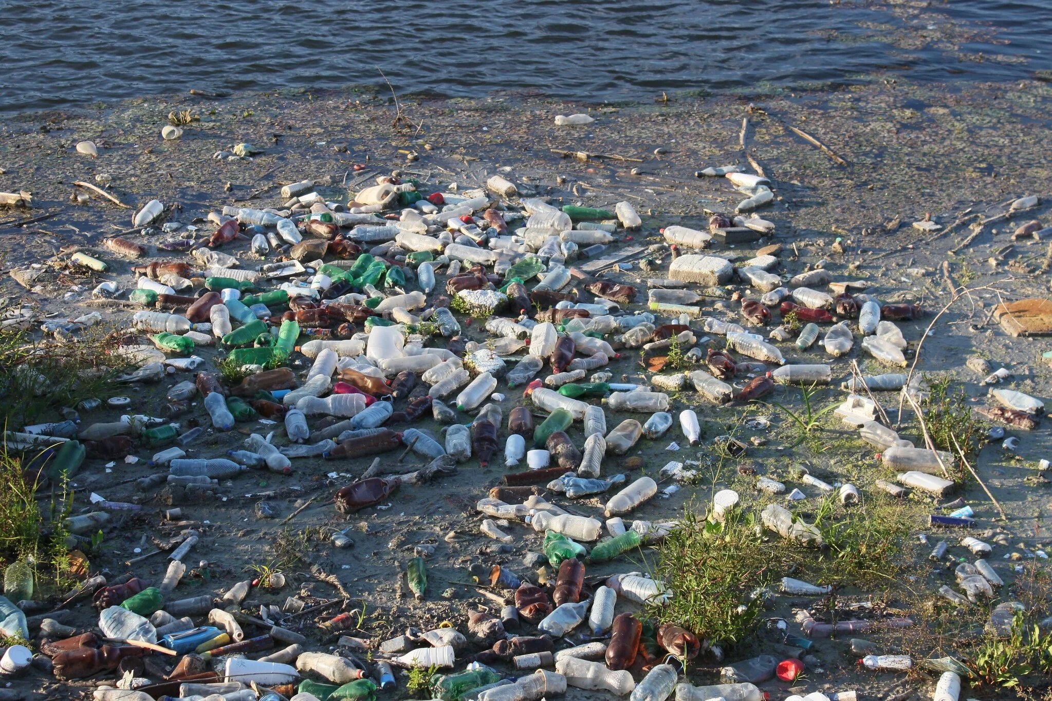 Имандра озеро загрязнено. Загрязнение водоемов. Экология загрязнение воды. Загрязнения водохранилище