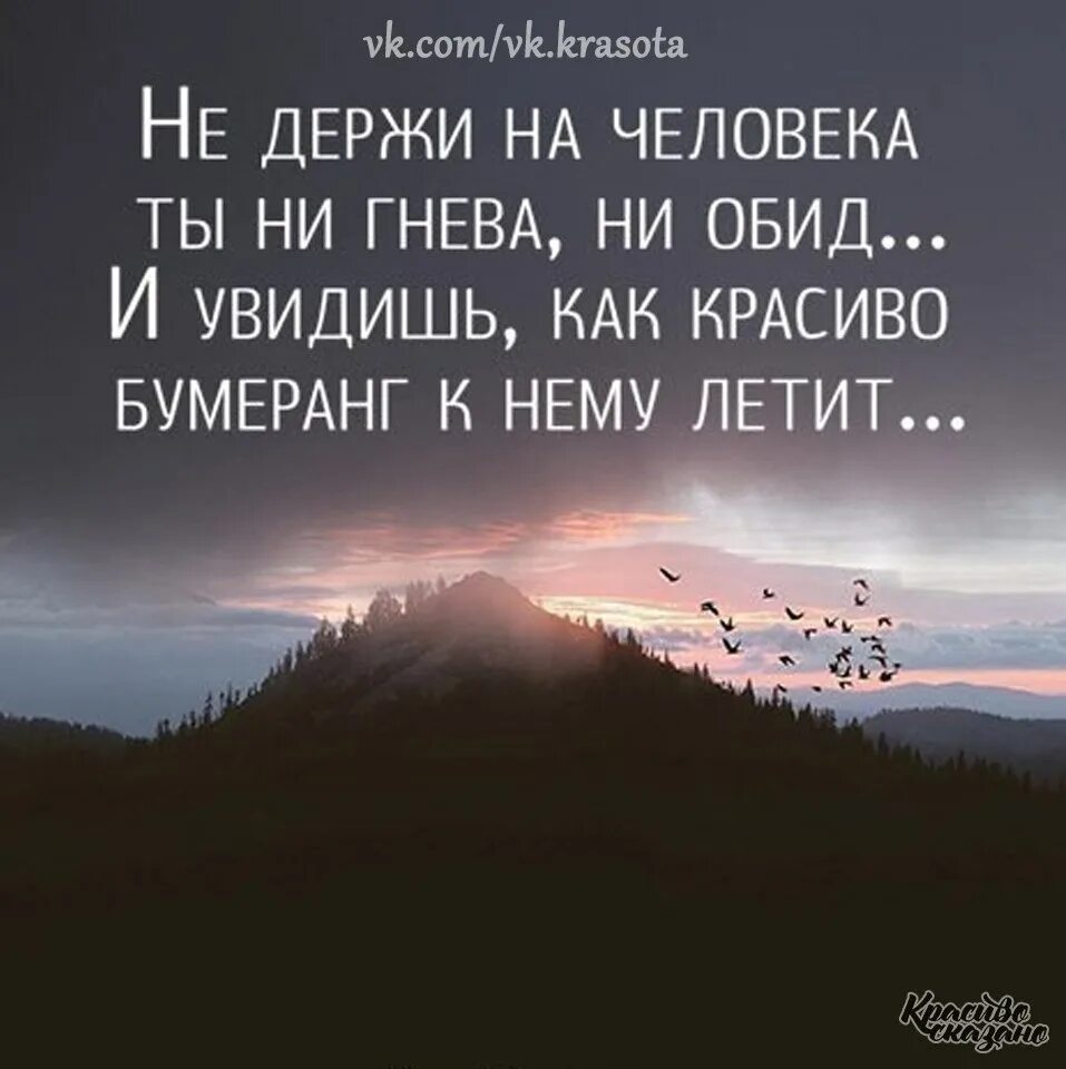 бумеранг цитаты. жизнь бумеранг стих. статус про бумеранг со смыслом. жизнь бумеранг. стих про бумеранг жизненный.