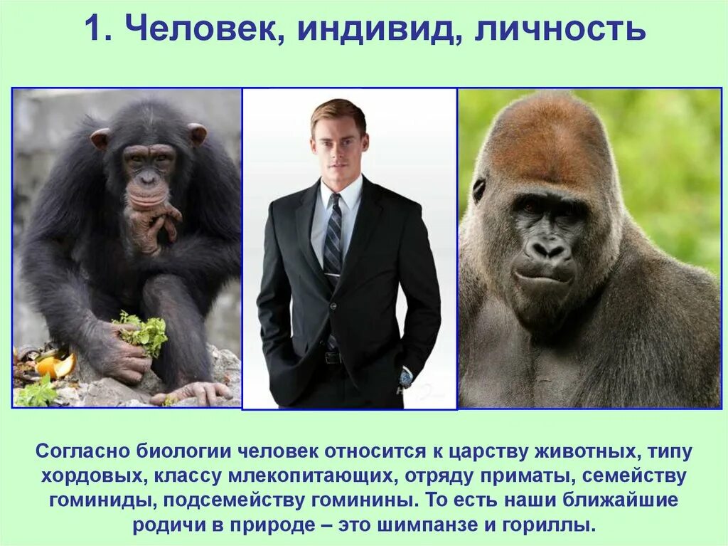 Характеристика типов профессий. К людям современного типа относится. Отряд приматы семейство гоминиды. К людям современного типа относится. Современный человек вывод.