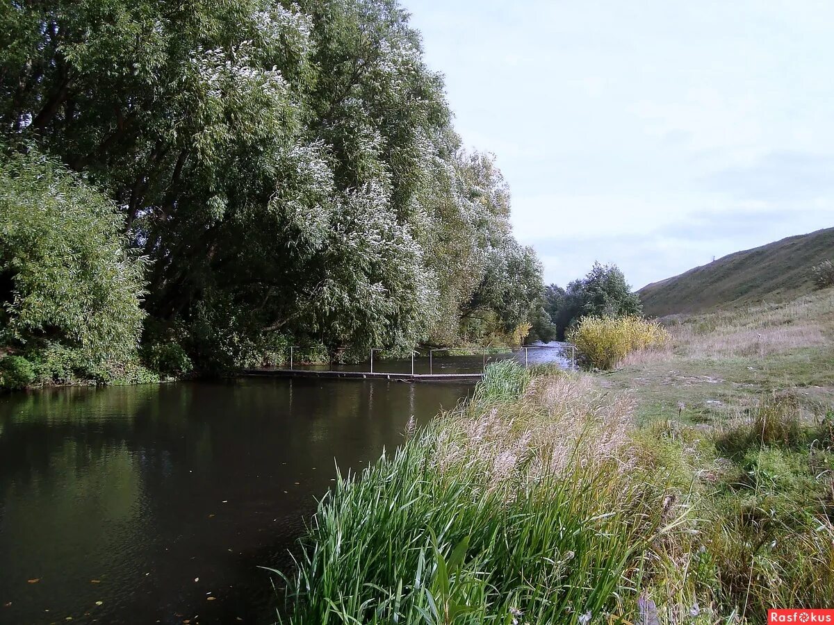 исток реки непрядва тульская область. непрядва река куликово поле. непрядва и дон. куликово поле непрядва и дон. куликово поле и река дон.
