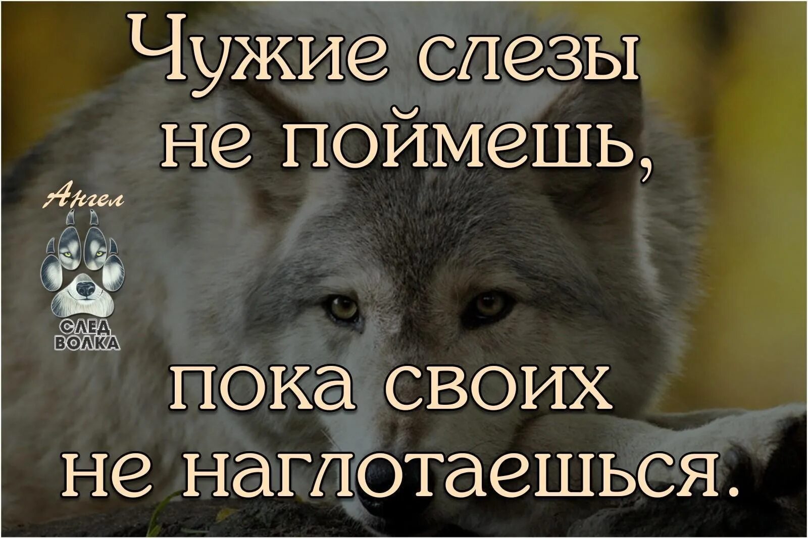 Понять чужой. Человек никогда не поймет чужую боль. людям никогда не понять чужой боли. людям никогда не понять чужой боли пока эта боль не коснется их самих. чужая боль.