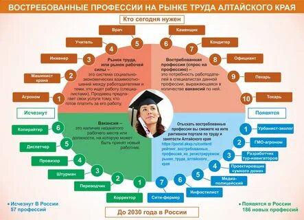 Какую профессию выбрать в 2024