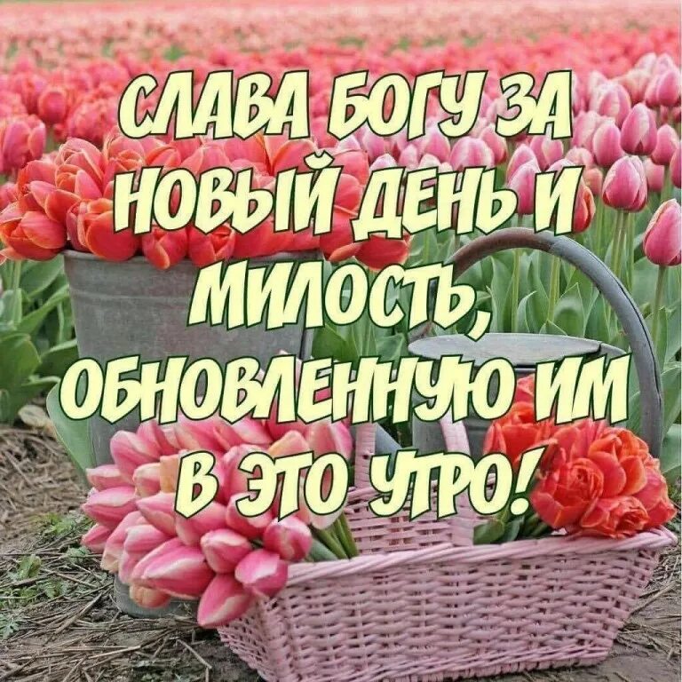 Красивые благословение. С добрым утром Божьего благословения. Доброе утро Божьих благословений. Доброе утро благословенного дня. Благословенного дня открытки.