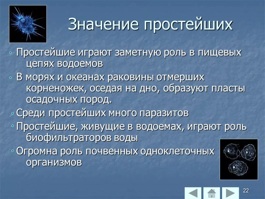 Что значит быть простым человеком