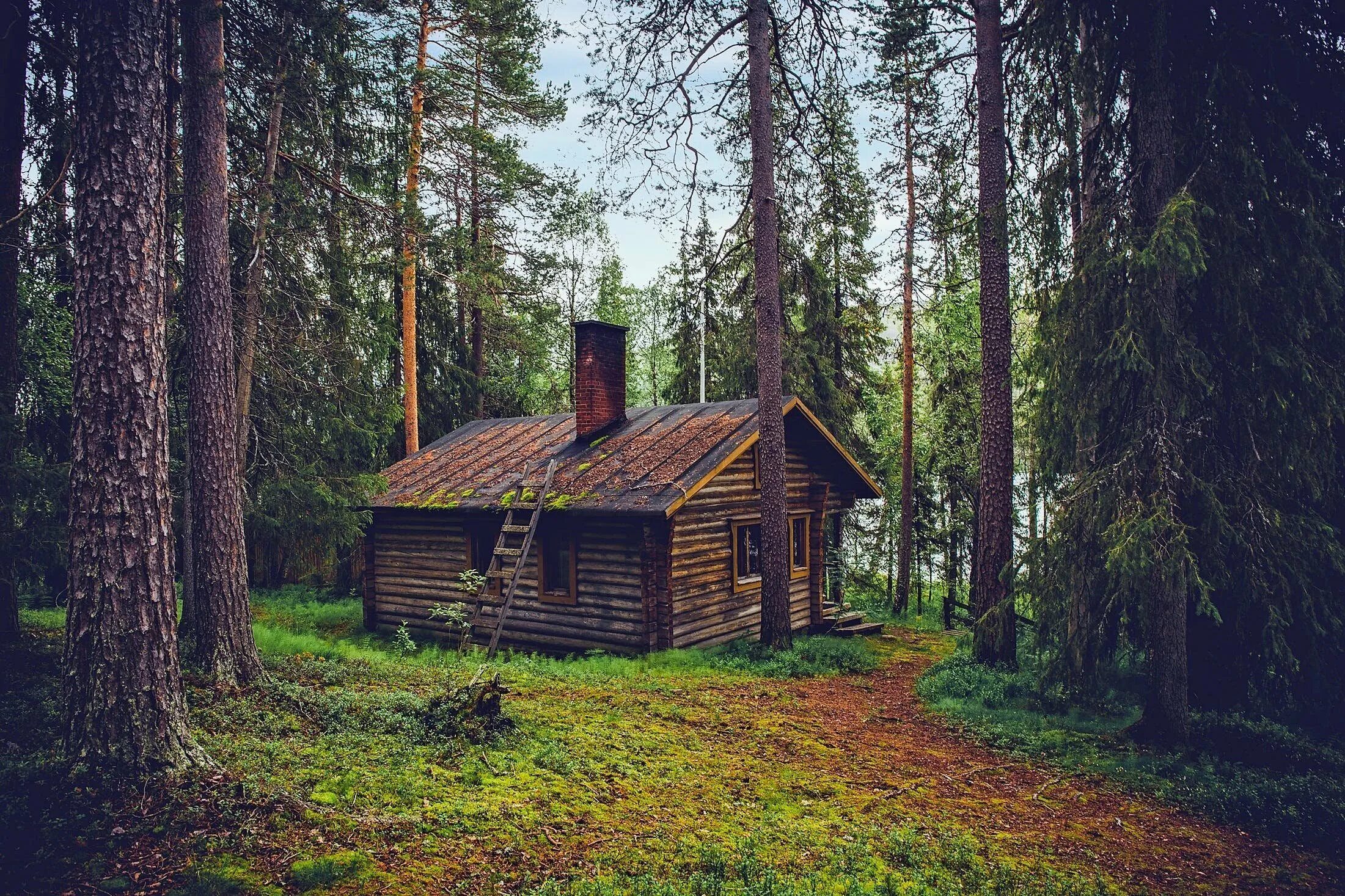 Из лесу из за дома лесничего. Боровецкий лес дом отшельника. Монастырь скит глушь. Домик лесника Зеленогорск. Сосновый лес изба скит Торжок.