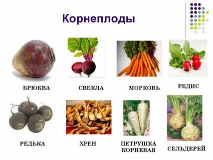 Овощи являются растениями
