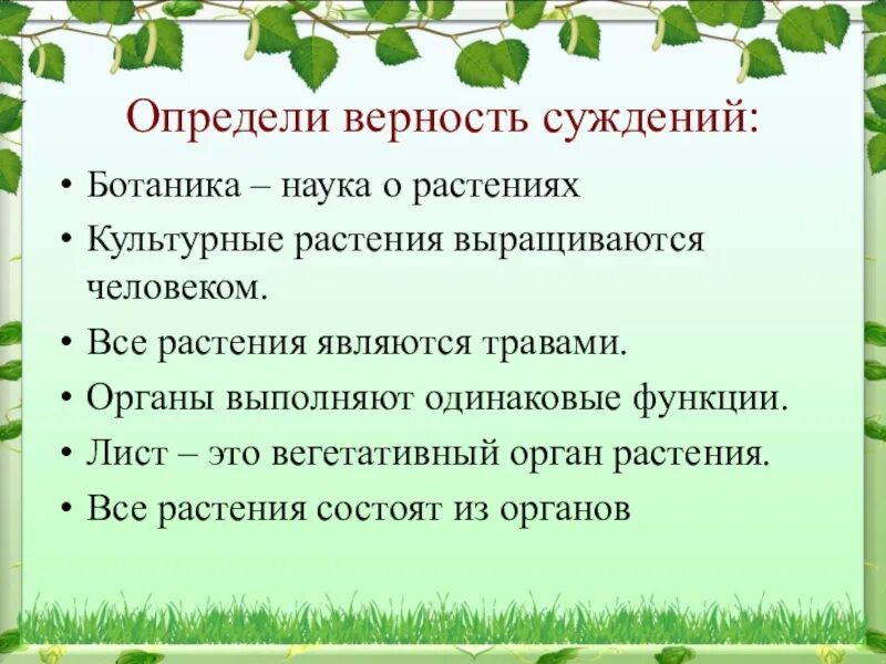 Значение в области какой ботанической. Ботаника наука о растениях. Ботаника изучает растения. Коука орасстения ботаник. Ботаника это наука изучающая растения.