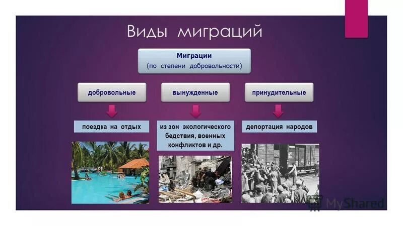 Презентация на тему: "Миграция: виды, причины, особенности современных междунаро