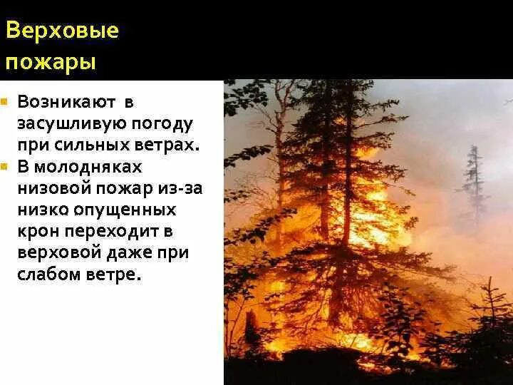 Верховой пожар наиболее опасен ответы. Верховой и низовой пожар. Отличие верхового и низового пожара. Верховой Лесной пожар может возникнуть при. Низовой и верховой пожар отличия.