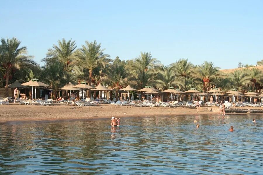 Dessole Seti Sharm Resort 4 Шарм-Эль-Шейх. Seti Sharm Palm Beach Resort Шарм-Эль-Шейх. Дессоле сети Шарм Египет. Отель дессоле Сити Шарм Шарм-Эль-Шейх.