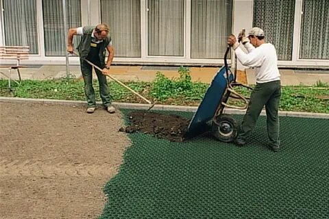 Как сделать на даче газон своими руками